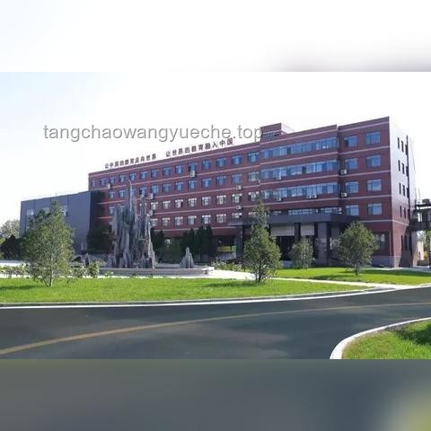 高考进行时：教育行业新趋势与志愿填报策略洞察